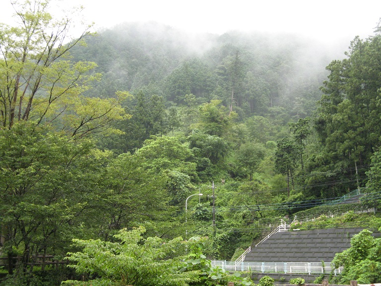 一泊研修旅行