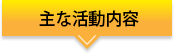 主な活動内容