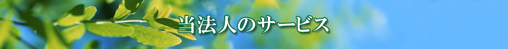 当法人のサービス