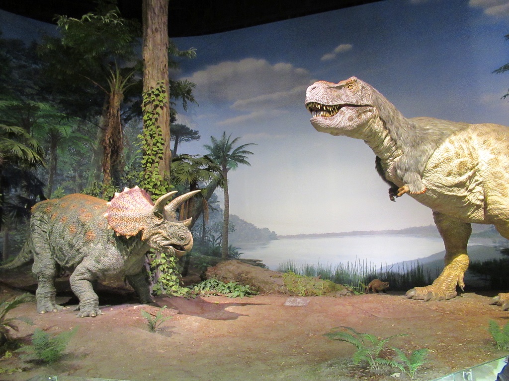 茨城県自然博物館恐竜館の恐竜